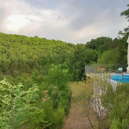 Forest House Silva